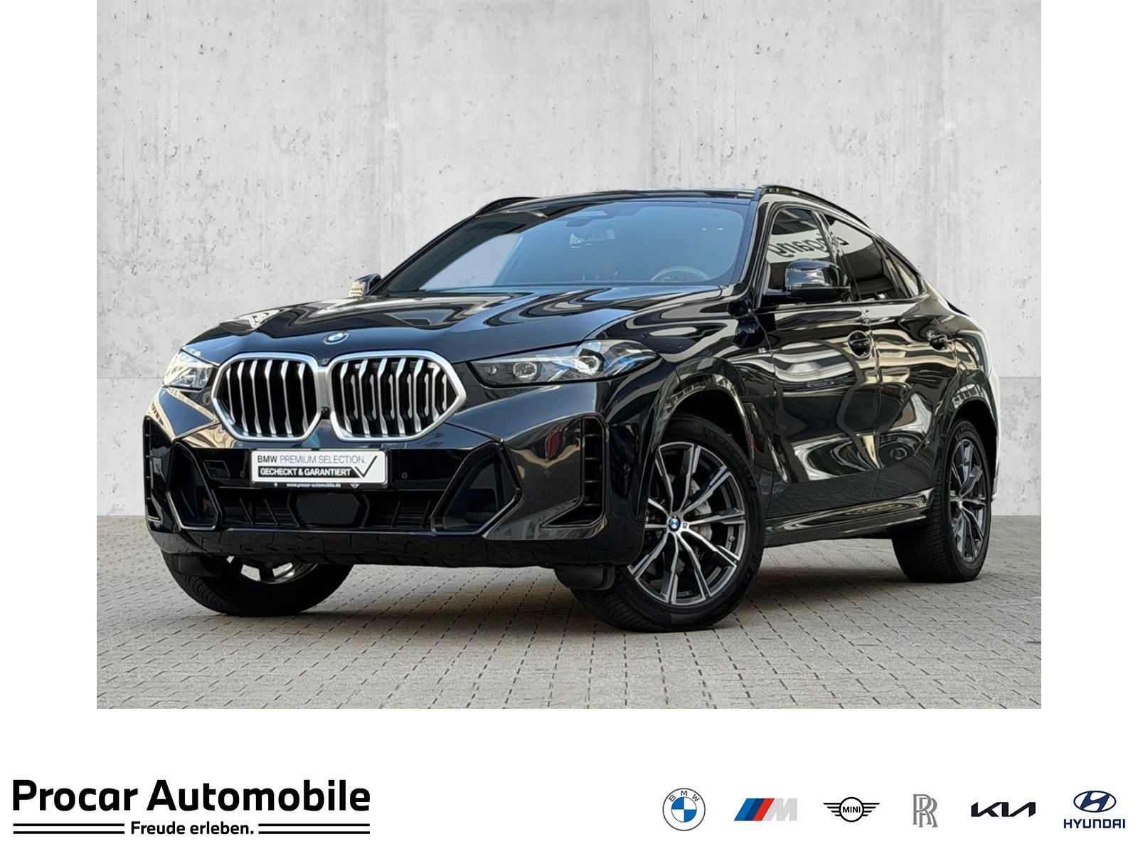 BMW X6 xDrive40d M Sport DA/PA Prof SkyPano Softcl.