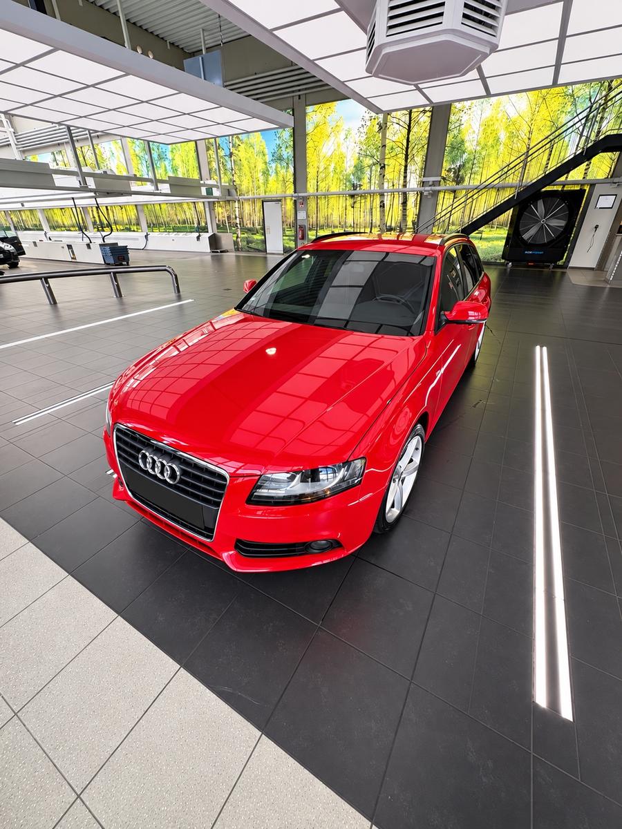 Audi Quattro 2010 — вигляд ззаду