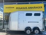 Böckmann  Böckmann Portax LSR 2,7t SK 2-Pferdeanhänger - Böckmann Gebraucht Pkw-Anhänger