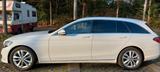 Mercedes-Benz C180-T-AUTOMAT+PANO+SPUR+EINPARK+PDC+KAMERA+LED - Mercedes-Benz C 180 in Freiburg