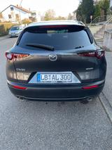 Mazda CX-30 e-SKYACTIV X M-Hybrid 186 Nagisa AT Nagisa - Mazda CX-30 mit Benzin-Antrieb: Nagisa