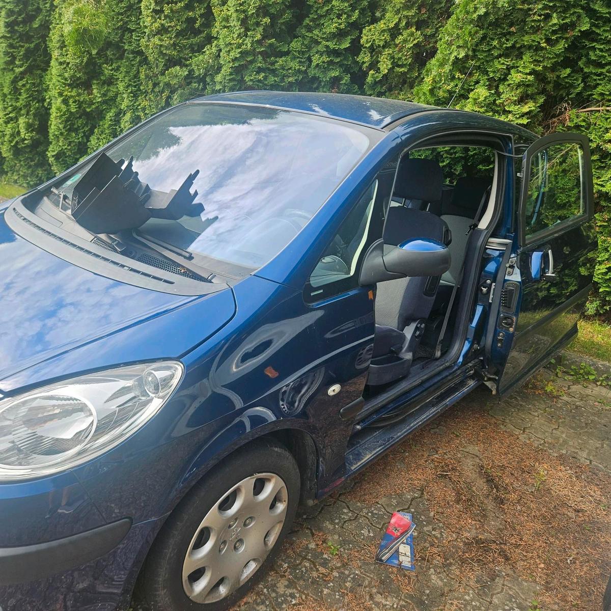 Peugeot 1007 2006 — rear view