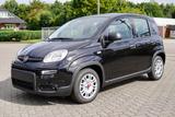 Fiat Panda 1.0 Firefly Hybrid mit CITY PAKET !!! - Fiat Panda: Fire