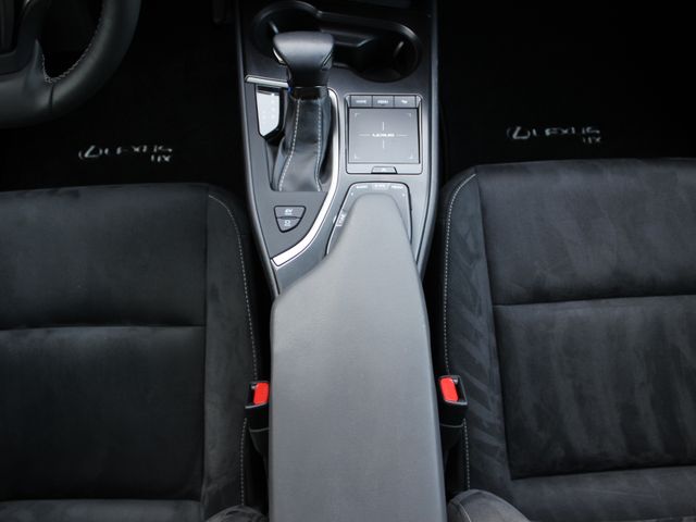 UX 250h LED*ACC*SHZ*Apple CarPlay