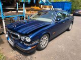 Jaguar XJ 3.0 XJ6 1.Hand!