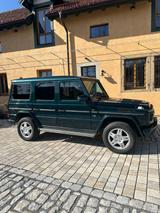 Mercedes-Benz G 400 CDI Station Wagon Lang - - Mercedes-Benz G 400 von privat