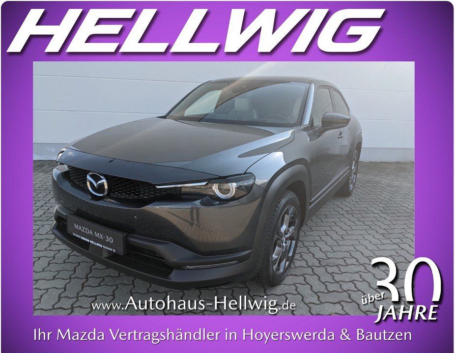 Mazda MX-30 e-SKYACTIV EV Advantage Matrix-LED  Indust