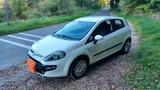 Fiat Punto Evo 1.2 TÜV 04/27 StartStop,E-5,NEU Kuppl. - Fiat Punto mit Benzin-Antrieb: Start