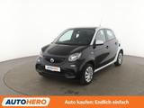 Smart forfour 1.0 Basis passion Aut.*TEMPO*LIM*PANO* - weiße Smart ForFour