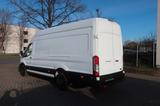 Ford Transit Kasten 350 L4 Trend Maxi Klima - Ford Transit: Trend