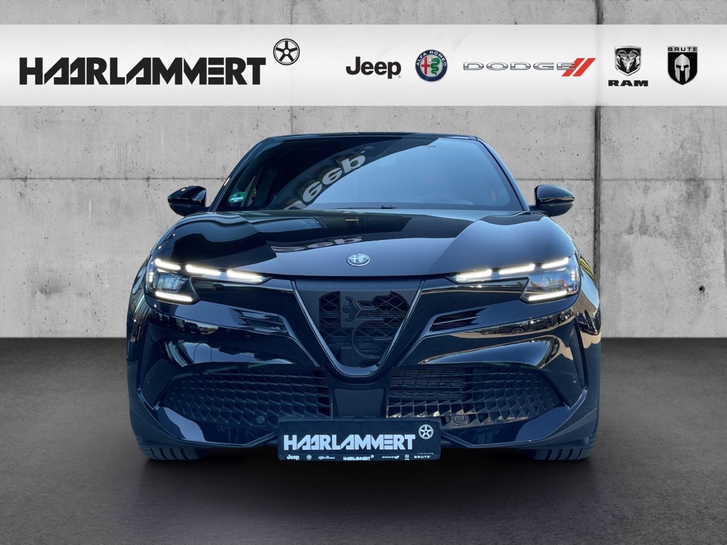 Alfa Romeo Junior - Bild 4