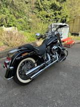 Harley-Davidson Softail Deluxe (FLSTN) - HARLEY-DAVIDSON SOFTAIL DELUXE