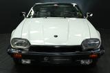 Jaguar XJS V12 5,3|2.Hd.|deutsch|66tkm|Scheckheft|Klima - Jaguar XJS: Cabrio