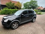 Opel Antara - Opel Antara aus 2010