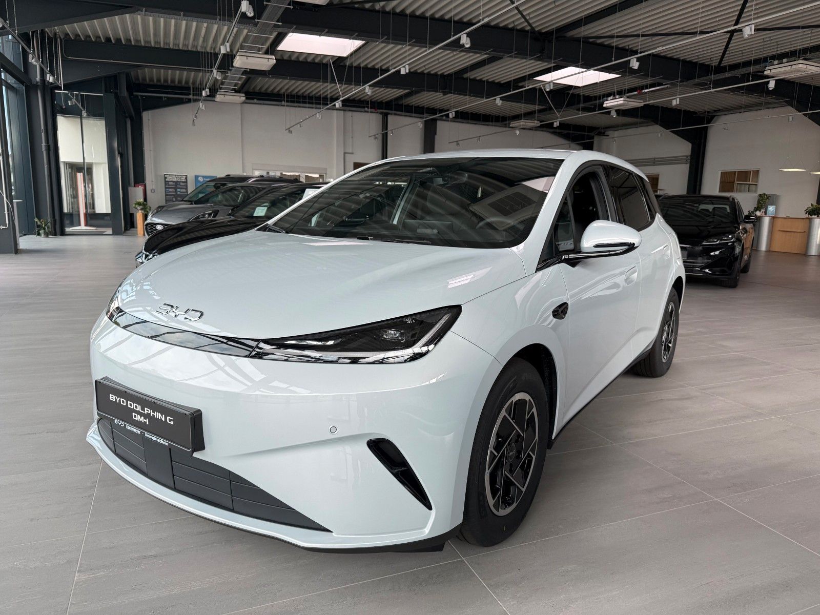 BYD DOLPHIN