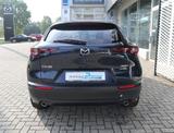 Mazda CX-30 M-Hybrid G-150 Selection DES-P ACT-P AHK N - Mazda Gebrauchtwagen von 2020