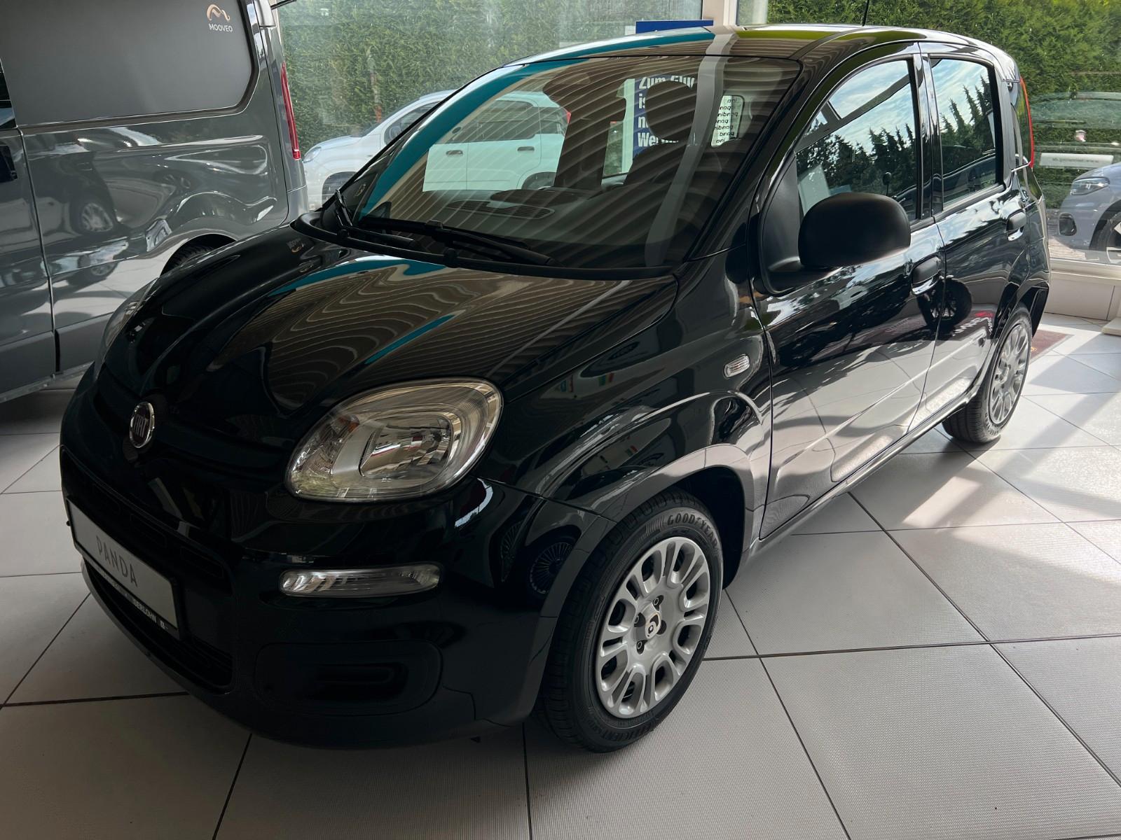 Fiat Panda (Pandina) 1.0 GSE Icon Hybrid