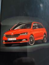 Skoda Fabia 1.0l TSI DSG 81kW Monte Carlo Combi Mo... - Skoda Fabia: Standheizung