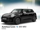 MINI Cooper NAVI DSG KLIMA LED PDC LM APPLE CBC BC - MINI MINI aus 2022