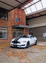 Ford Mustang V8 5.0L GT350 Optik 2019 - Ford Mustang: Gt350