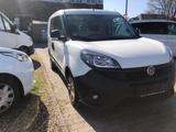 Fiat Doblò SX Kasten Sortimo Einbau - Fiat Kühlkastenwagen Dob