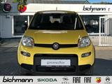 Fiat Panda Hybrid 1.0 Klima PDC DAB USB Kollisionswar - Fiat Panda: Gelb