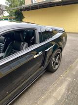 Ford Mustang - Ford Mustang in Kiel