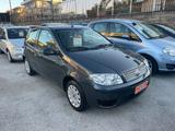 Fiat FIAT PUNTO 1.2 BENZINA 60 (CV) 2010 - Fiat Punto: 60