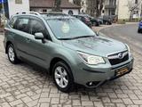 Subaru Forester 2.0 4x4 Exclusive LED+PANO+AHK+KAMERA - Subaru aus 2014