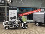 Harley-Davidson Heritage Softail FLSTN - HARLEY-DAVIDSON 1995 SOFTAIL