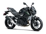 Kawasaki Z 500  2024 Führerscheinbonus von 500,-€  mgl. - KAWASAKI 500Z