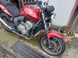 Honda CBF 600 - MOTORRAD 600