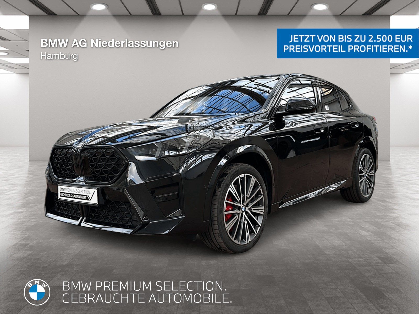 BMW X2 sDrive20i M Sport AHK Driv.Assist Harman K foto 1