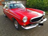 Volvo P1800 ES Schneewittchen Sarg - Volvo: P1800s