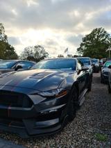 Ford Mustang GT | Shelby GT350 Performance | Einzelst - Ford Mustang: 350gt