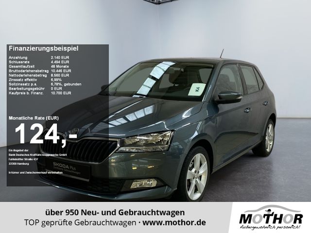 Skoda Fabia Cool Plus 1.0 MPI Einparkhilfe hinten