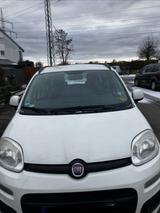 Fiat Panda - Fiat Panda Gebrauchtwagen in Stuttgart