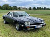 Jaguar XJS V12 Convertible Automatik - Jaguar XJS aus 1992