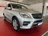 Mercedes-Benz ML 250 CDI BlueTec//Leder//AHK// - Mercedes-Benz ML 250 Gebrauchtwagen