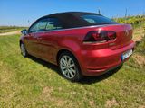 Volkswagen Golf 1.6 TDI Cabriolet sunset red I Leder I Navi - Volkswagen Golf mit Diesel-Antrieb: Cabrio, 1.6