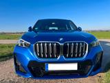 BMW xDrive30 - M Sportpaket - Individual - gepflegt