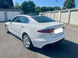 Jaguar XE P250 S LED Matrix Panorama Leder 13.000KM  - Jaguar XE in Essen