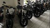 Suzuki GSR 600 ABS - Top gepflegt - SUZUKI 2007 600 GSR