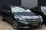 Mercedes-Benz E 220 BlueTEC T AVANTGARDE 7-G LED NAVI PDC AHK - Mercedes-Benz E 220 aus 2013