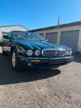 Jaguar XJ8 Leder creme - gebrauchte Jaguar XJ8 aus dem Jahr 1998