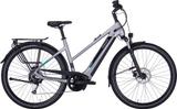 Pegasus EVO CX 45 cm - Pegasus E-Bikes