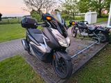 Honda Forza 300 - Honda Motorräder in Köln