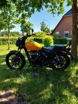 Royal Enfield Meteor 350  - Royal Enfield Meteor 350