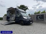 Peugeot Boxer | HORSETRUCK | TVW | CLASSIC 3XL | 2013 | - Angebote