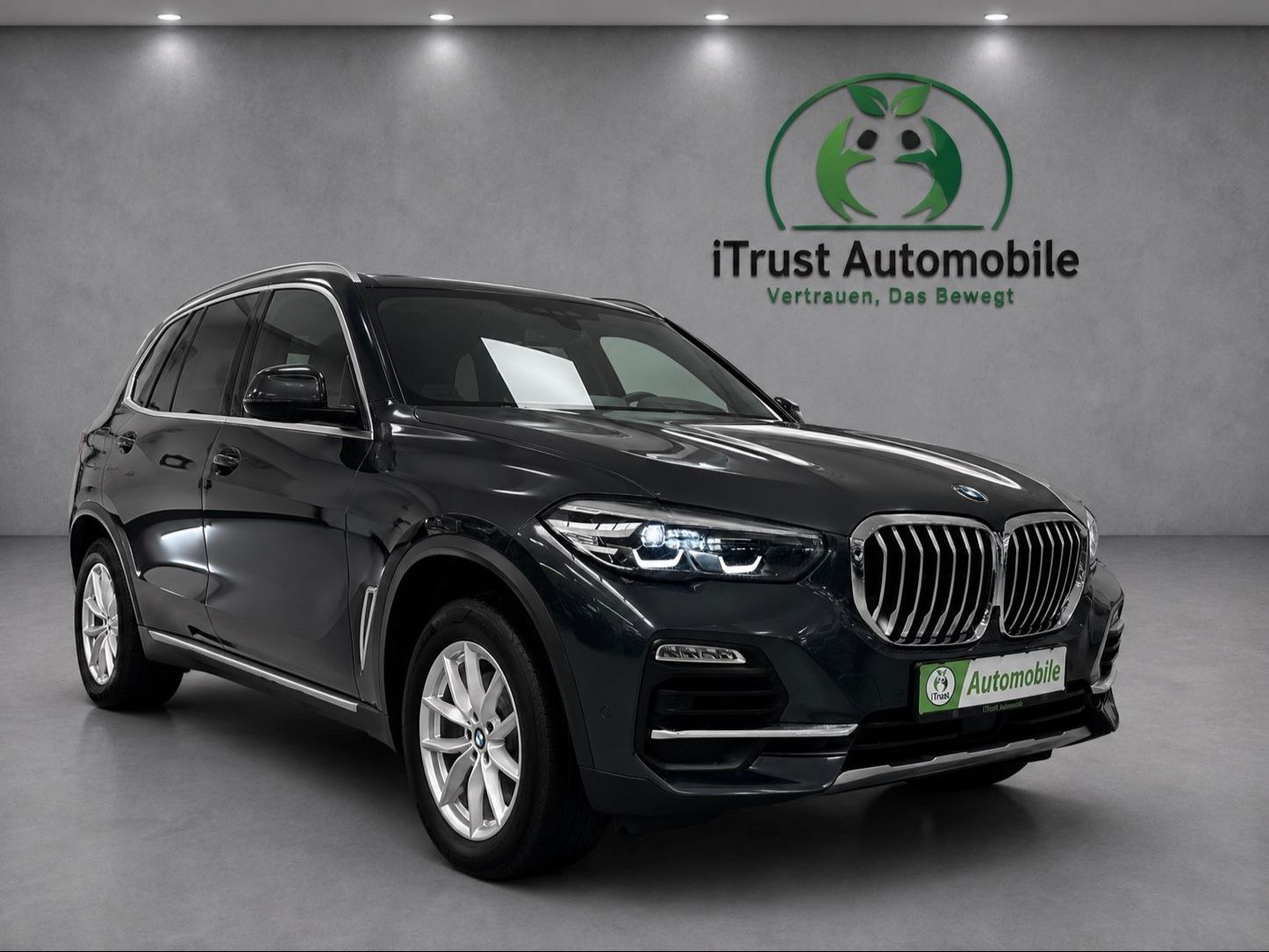 BMW X5 xDrive 30d DA PA 360°-KAMERA AHK ACC LC-PROF